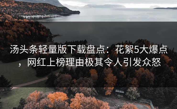 汤头条轻量版下载盘点：花絮5大爆点，网红上榜理由极其令人引发众怒
