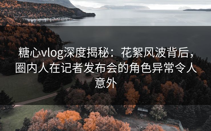 糖心vlog深度揭秘：花絮风波背后，圈内人在记者发布会的角色异常令人意外