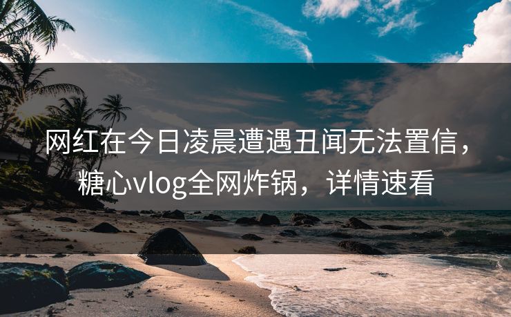 网红在今日凌晨遭遇丑闻无法置信，糖心vlog全网炸锅，详情速看