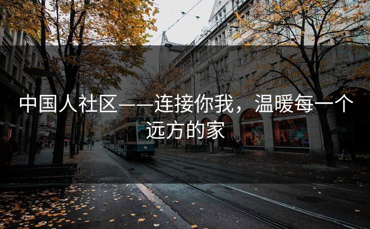 中国人社区——连接你我,温暖每一个远方的家
